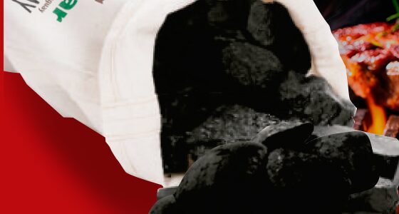 White Quebracho charcoal briquettes manufactured in Paraguay