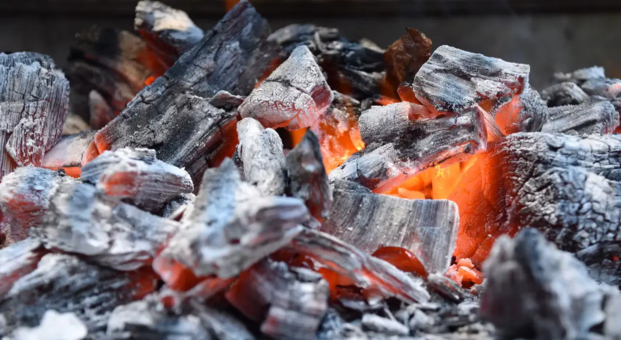 Viñal and Eucalyptus lump charcoal