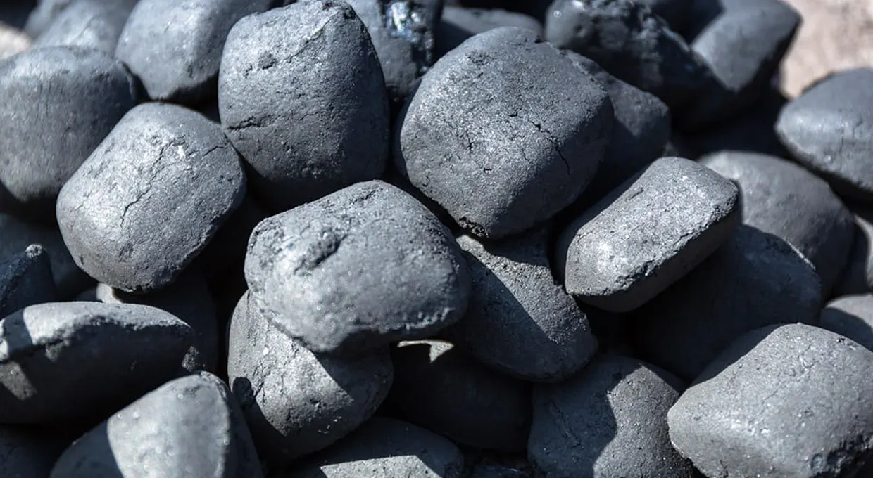 White Quebracho charcoal briquettes