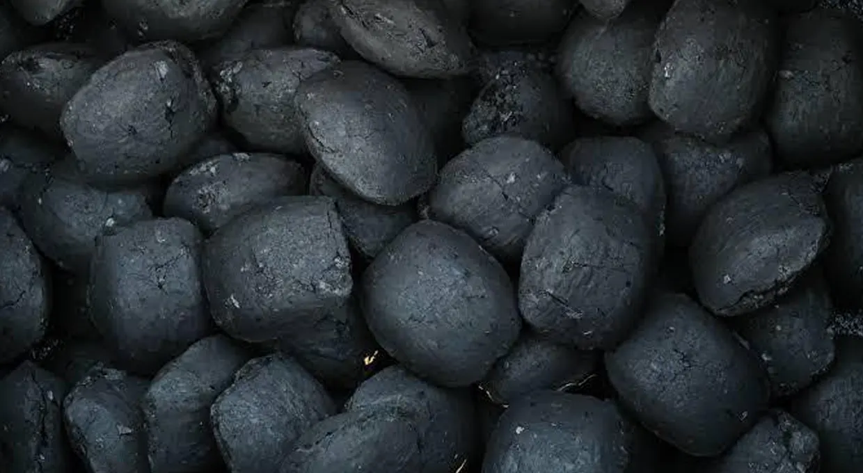 Viñal charcoal briquettes